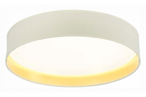 Накладной светильник EVOLUCE Brescia SLE300552-01 - 2