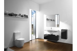 Чаша для унитаза-компакта Roca Meridian 342248000 - 2