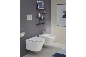 Унитаз подвесной Jacob Delafon Rodin+ EDY102-00 - 2