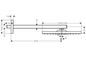 Hansgrohe Raindance E Верхний душ 300 1jet с держателем - 3