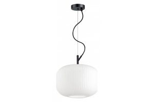 Подвесной светильник Odeon Light Pendant Roofi 4754/1 - 2