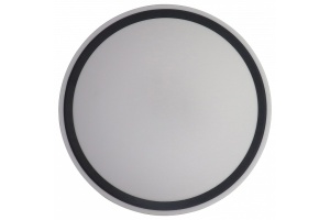 Накладной светильник Zortes BELLA ZRS.1201.11