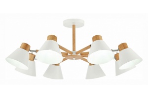 Люстра на штанге EVOLUCE Buve SLE103702-08