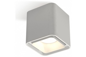 Накладной светильник Ambrella Light XS XS7840001