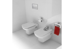 Крышка-сиденье Roca Dama Senso ZRU9302820 c микролифтом, петли хром - 3