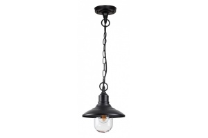 Уличный подвесной светильник Odeon Light Nature Campa 4965/1