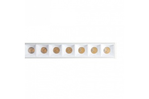 Трековый светодиодный светильник Feron MGN302 41941 - 2