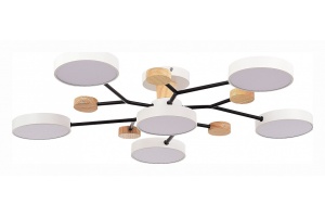 Потолочная люстра EVOLUCE Faema SLE6006-502-06