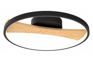 Накладной светильник Lightstar Lodi 723027