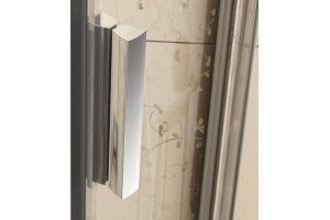 Душевая дверь в нишу Ravak BLDP2-100 Grape, профиль сатин - 3