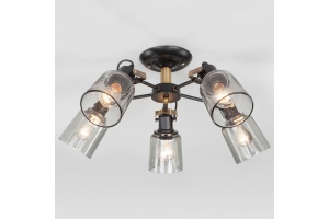 Потолочная люстра Eurosvet Astor 70111/5 черный