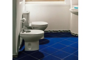 Биде напольное Roca Victoria 357390000 с установочным комплектом - 3