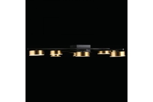 Потолочная люстра Aployt Delayn APL.042.07.56 - 2