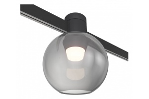 Накладной светильник ST-Luce Farm ST819.406.03