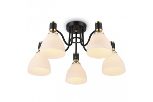 Потолочная люстра Ambrella Light TR TR303307