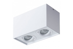 Потолочный светильник Arte Lamp Factor A5544PL-2WH