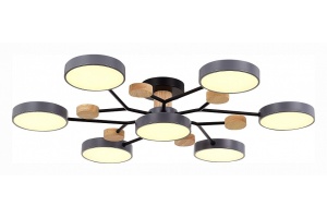 Потолочная люстра EVOLUCE Faema SLE6006-702-07 - 3