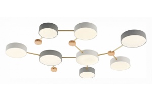 Накладной светильник EVOLUCE Dossena SLE600102-08