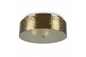 Накладной светильник Maytoni Ripple MOD096CL-05G - 3