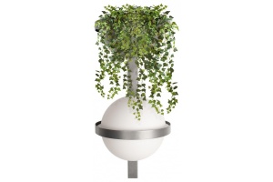 Бра Loft it Jardin 10121W/B Dark grey - 2