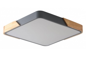 Накладной светильник Zortes ALBERRO ZRS.01288.48 - 3