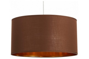 Подвесной светильник EVOLUCE Brescia SLE300573-01