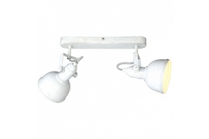 Спот Arte Lamp Martin A5213AP-2WG