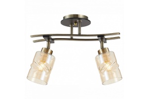 Спот Citilux Мерида CL142124