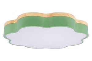 Накладной светильник Loft it Axel 10225/36 Green - 3