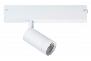 Светильник на штанге Lightstar Teta 205016 - 2