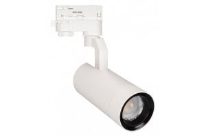 Трековый светодиодный светильник Arlight LGD-Gelios-4TR-R67-20W Warm3000 031216