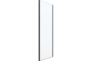 Боковая стенка RGW 100х200 профиль черный стекло прозрачное