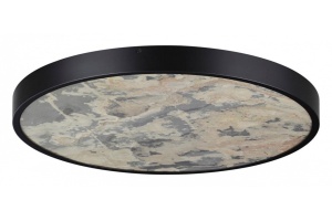 Накладной светильник Odeon Light Bergi 5064/50L - 3