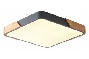 Накладной светильник Zortes ALBERRO ZRS.01288.24 - 2