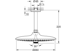 Верхний душ Grohe Euphoria SmartControl 26461000 - 2