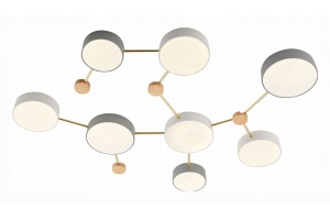 Накладной светильник EVOLUCE Dossena SLE600102-08 - 2