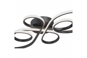 Потолочная люстра Vitaluce V3775 V3775-1/2PL - 2