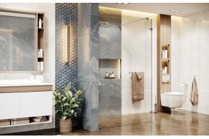 Душевая перегородка Ambassador Walk-in 15031106 100х200 см, профиль хром - 3