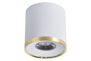 Накладной светильник Favourite Prakash 3085-2C