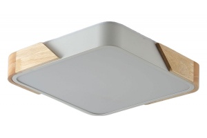 Накладной светильник Zortes ALBERRO ZRS.01285.36 - 3