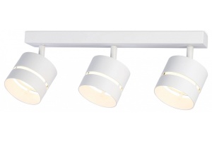 Спот Ambrella Light TN TN71062