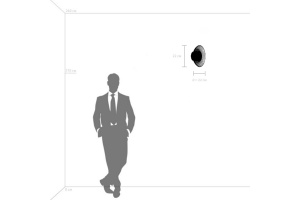 Накладной светильник Lightstar Celesta 809012 - 3