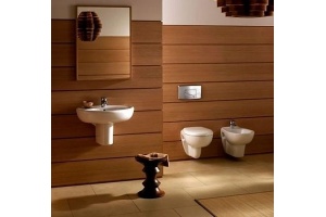 Подвесной унитаз Jacob Delafon Brive (E4345G-00) - 3