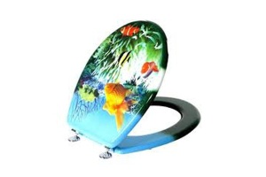 Крышка-сиденье BelBagno Ancona с рисунком (BB2004SC-WTP)