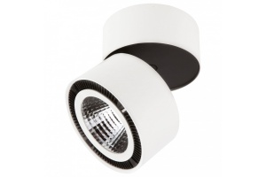 Трековый светодиодный светильник Lightstar Forte Muro (595061+213816) PRO213816