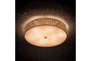 Потолочный светильник Citilux Портал CL324102 - 2