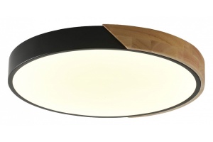 Накладной светильник Zortes ALBERRO ZRS.01287.48 - 3