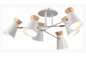 Потолочная люстра EVOLUCE Alfeo SLE1252-502-06