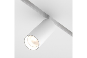 Светильник на штанге Maytoni Focus LED TR032-2-20W4K-S-W - 2