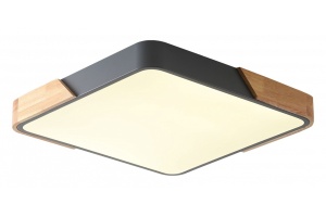 Накладной светильник Zortes ALBERRO ZRS.01288.48